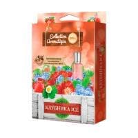 Ароматизатор FOUETTE Collection Aromatique Лесные ягоды СА-12 под сиденье 200 мл