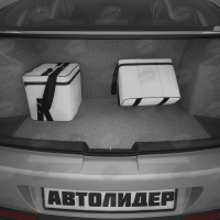 Автомобильная сумка (30х30х20 см), Артикул: ASEK-0124 