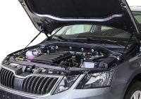  упоры капота для skoda octavia iii a7 (2013-2020) 2 шт. № uskoa7012