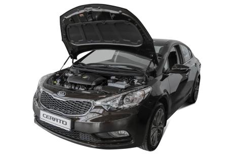 упоры капота для kia cerato iii (2013-2018) 2 шт. № ukicer012