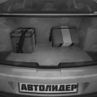 Автомобильная сумка (30х30х20 см), Артикул: ASEK-0120 