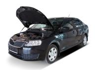  упоры капота для skoda rapid i (2012-2020) 2 шт. № a.st.5104.1