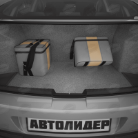 Автомобильная сумка (30х30х20 см), Артикул: ASEK-0119 
