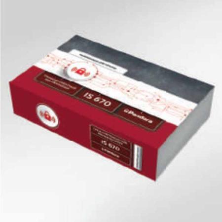 Иммобилайзер Pandora IS670 № RW6AP-00080